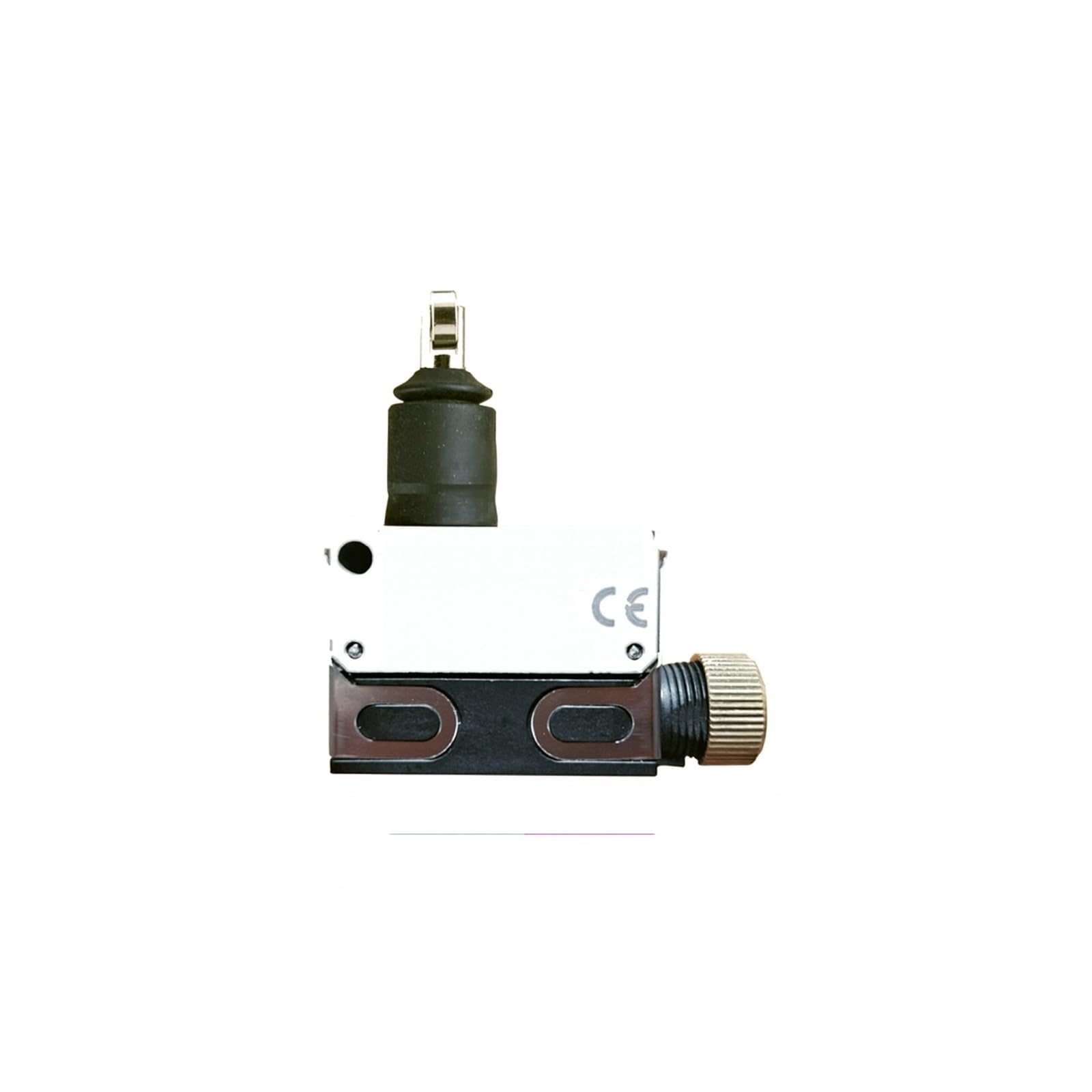 D4E-1E20N Small Sealed Limit Switch - Sealed Cross-Roller Plunger, SPDT 5A @125VAC, Screw Terminals, IP67