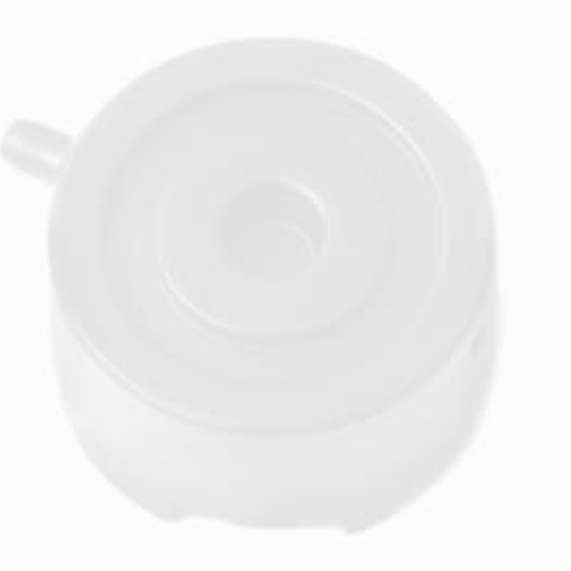 Calibration Cap / Adapter for RAE QRAE II PGM-2400 Gas Detector - 1 Count