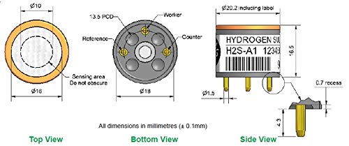Hydrogen Sulfide Sensor (H2S Sensor) - H2S-A1 GLH200