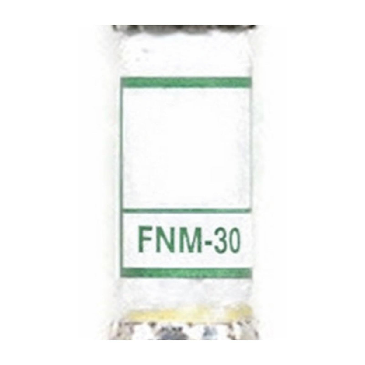 FNM-30 30A 250VAC time-delay supplemental midget fuse