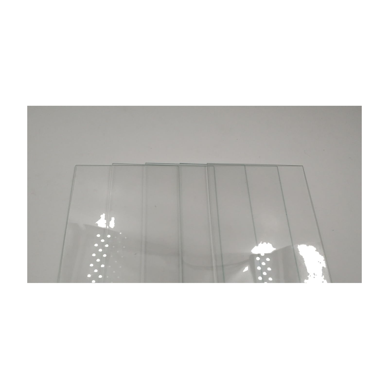 Bio-Rad Mini-PROTEAN Short Plates #1653308 or 1652912 Equivalent