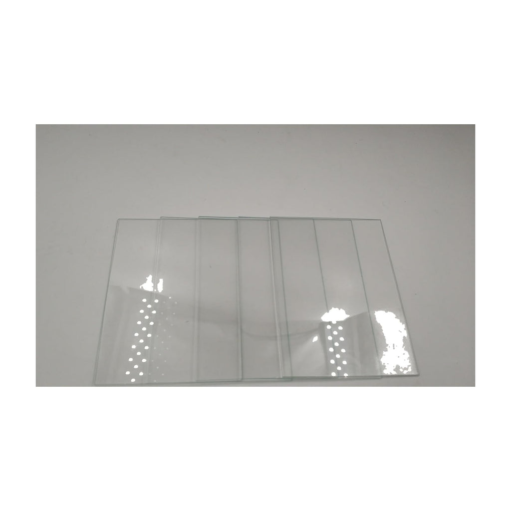 Bio-Rad Mini-PROTEAN Short Plates #1653308 or 1652912 Equivalent