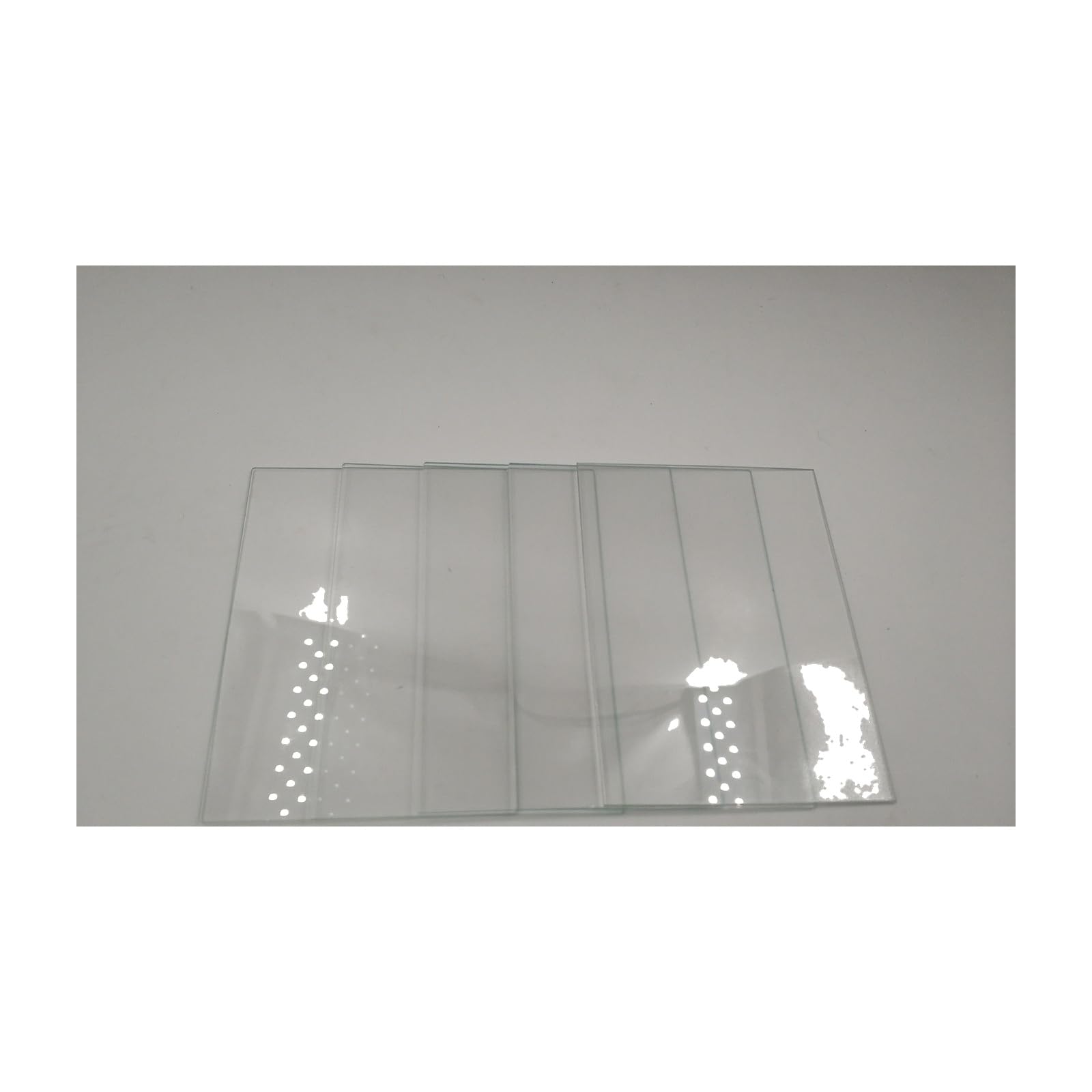 Bio-Rad Mini-PROTEAN Short Plates #1653308 or 1652912 Equivalent